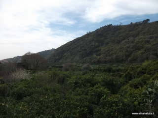 mpa Falconiera-30-03-2013 09-28-30